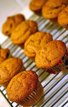 Pumpkin-Cranberry Muffins