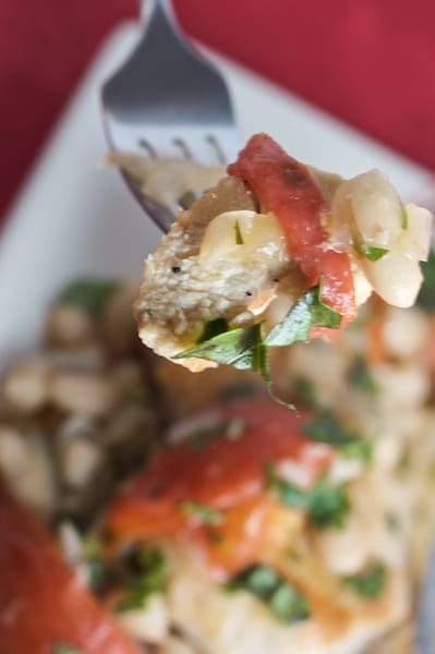 Close-up of chicken with beans and tomatoes on a fork.