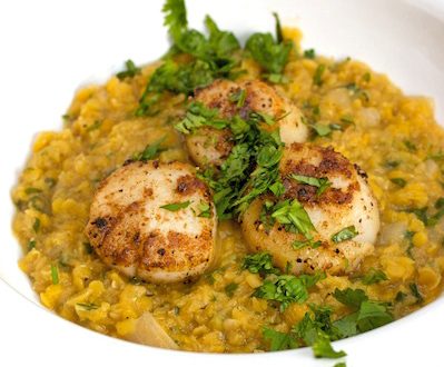 Seared scallops over lentils.