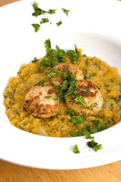 Seared scallops over lentils.