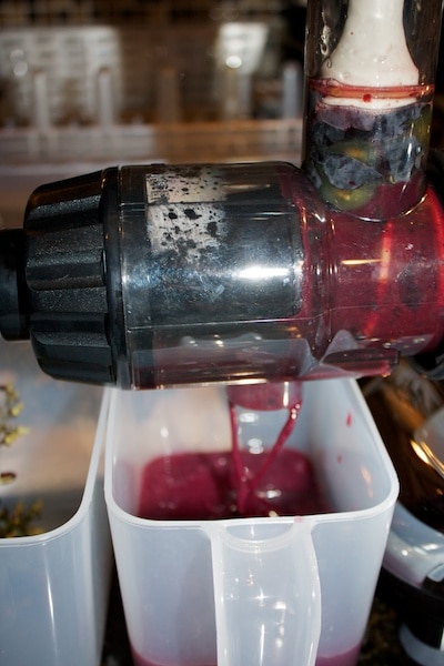 Concord grapes being juiced.