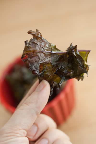 Close-up of a hand holding a kale chip.