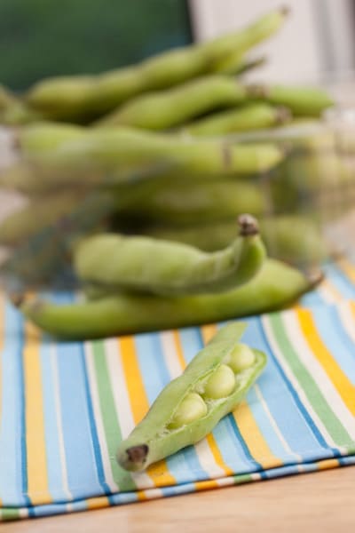 A close up of fava beans.