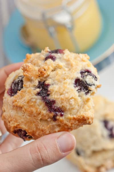 Blueberry scone with lemon curd alongside.