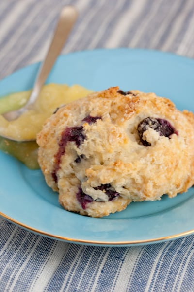 Blueberry scone with lemon curd alongside.