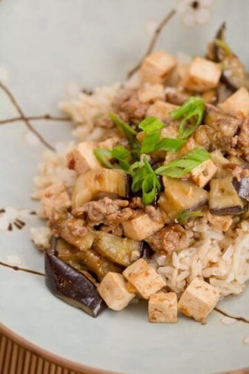 Spicy Eggplant, Pork, and Tofu Stir-fry » Big Flavors from a Tiny Kitchen