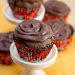 A close-up of chocolate cupcakes with chocolate frosting.