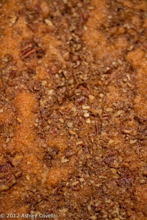 Overhead view of Cinnamon pudding cake.