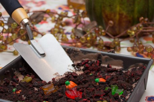 Nutella Dirt Cake