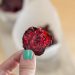 Baked Beet Chips