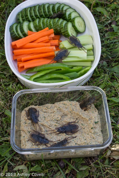 Roasted Roach Dip (Walnut Dip with Garlic)