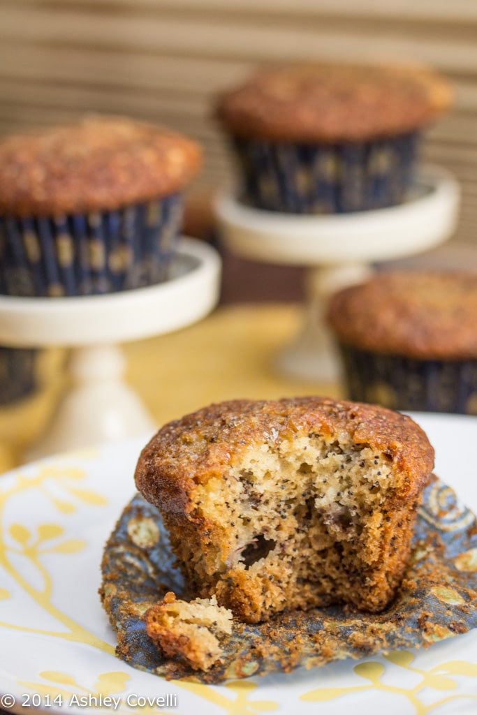 Honey Banana Poppy Seed Muffins