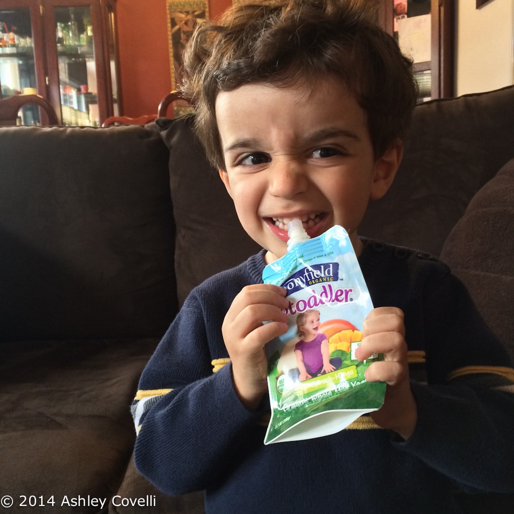 Stonyfield YoBaby, YoToddler and YoKids Pouches Review + Giveaway