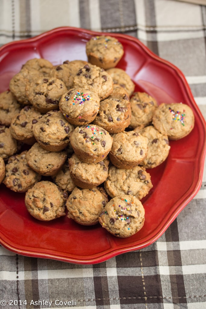 Chocolate Chip Peanut Butter Oatmeal Bites