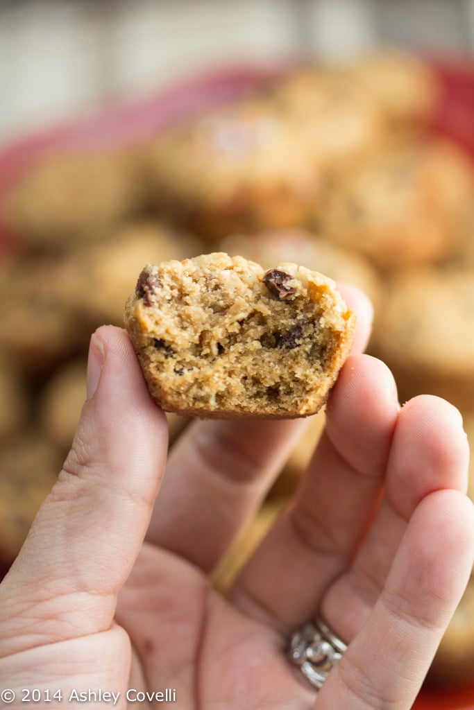 Chocolate Chip Peanut Butter Oatmeal Bites