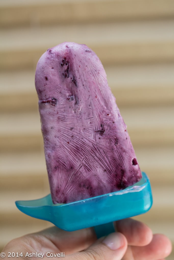 Blueberry-Cardamom Greek Yogurt Ice Pops