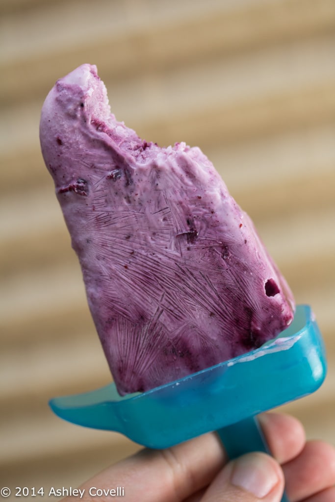 Blueberry-Cardamom Greek Yogurt Ice Pops