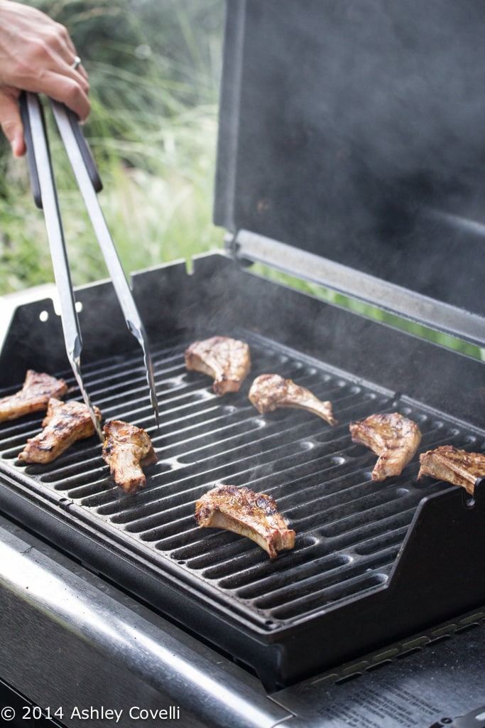 Tajine Spiced Grilled Lamb Chops