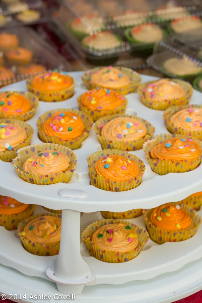 Chocolate Cupcakes with Salted Caramel Frosting