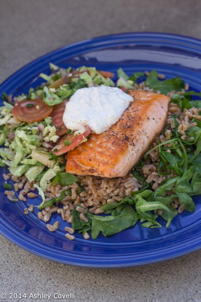 Pan-Seared Salmon with Arugula, Candy Stripe Beets & Horseradish Sour Cream