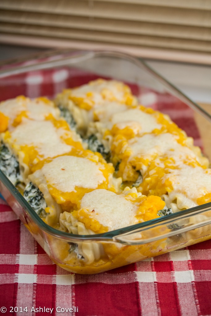 Butternut Squash Lasagna Rolls