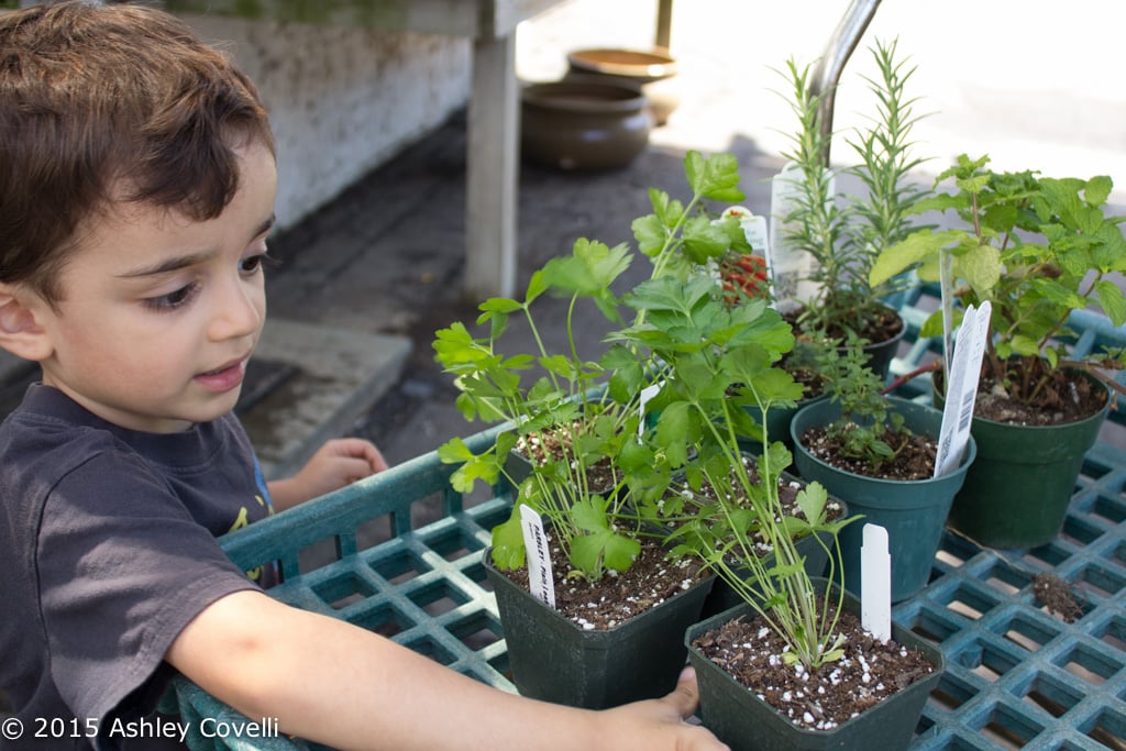 Earth Day Garden 2015