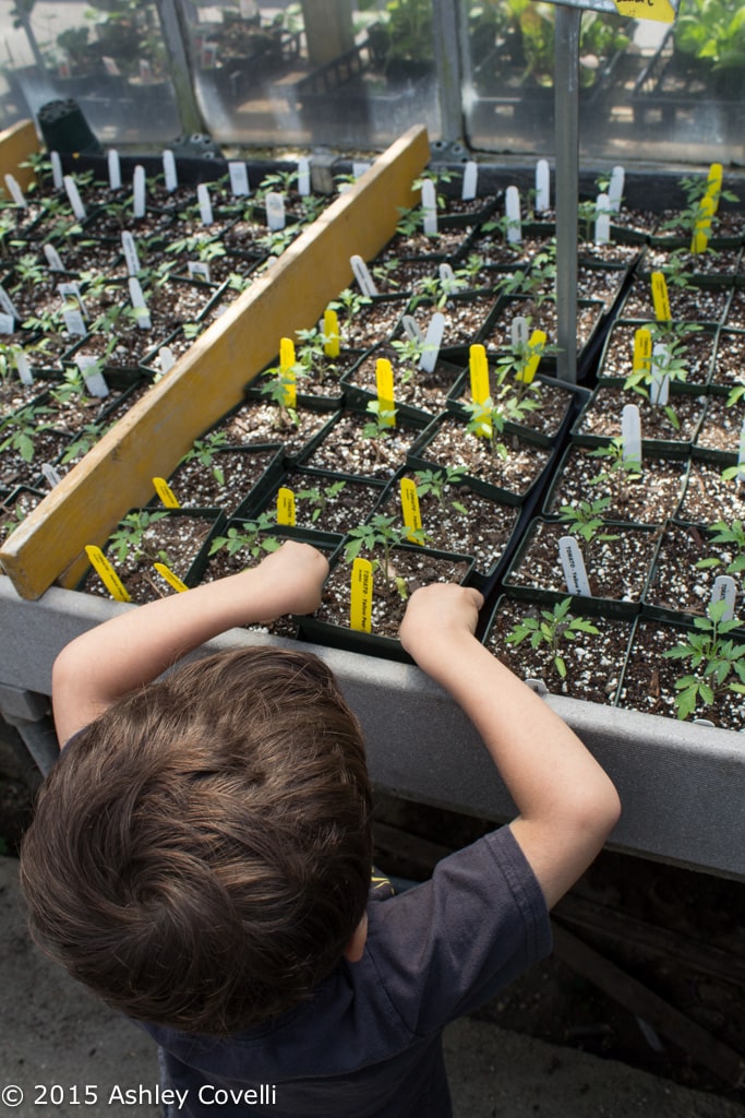 Earth Day Garden 2015