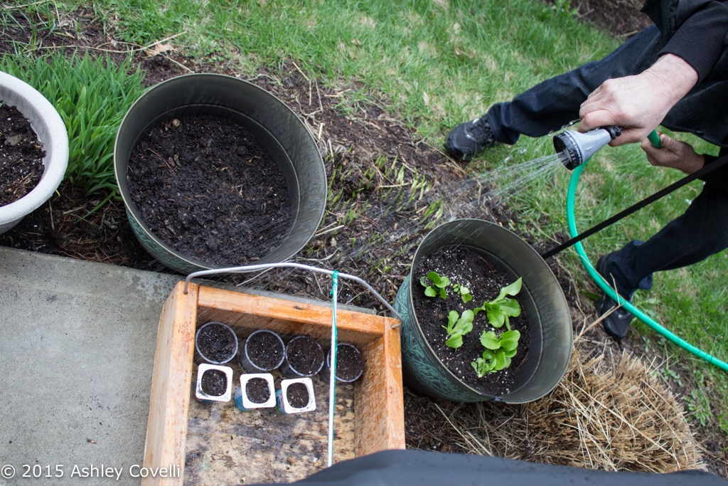 Earth Day Garden 2015