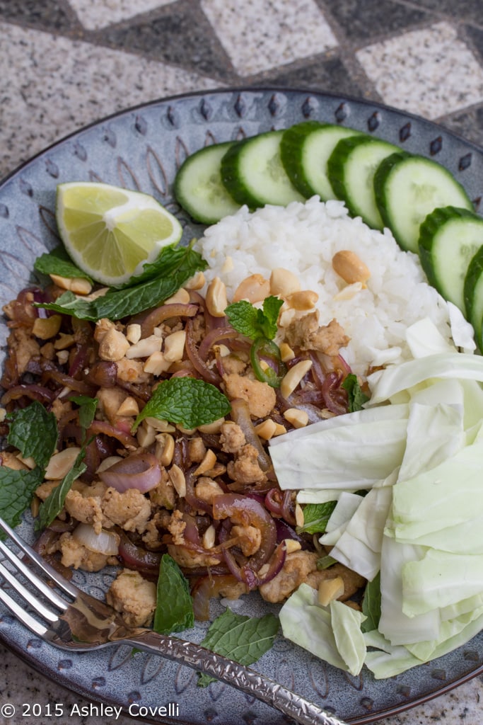 Laotian Larb Gai with Sticky Rice, Peanuts & Mint