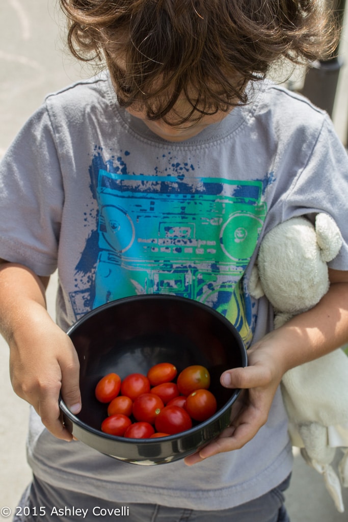 Maple Cinnamon Yogurt Dip + Lunchbox Tips for Preschoolers