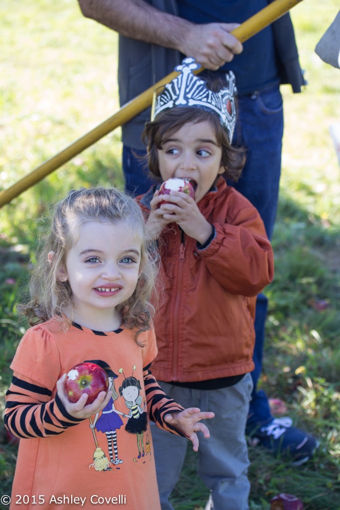 Apple Picking 2015