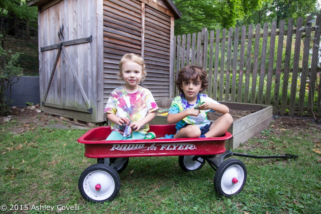 Stonyfield Fruit Snacks