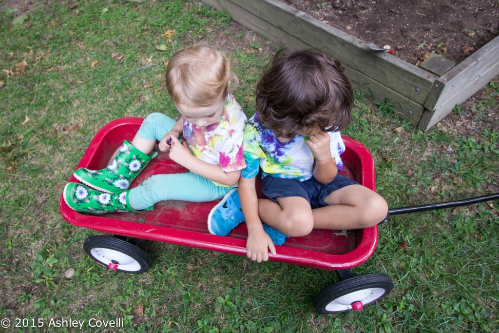 Stonyfield Fruit Snacks