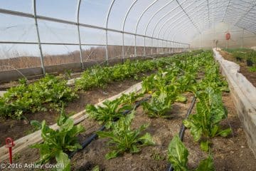 Big Flavors from the Farm Volume 1: Hilltop Hanover Farm & Environmental Center