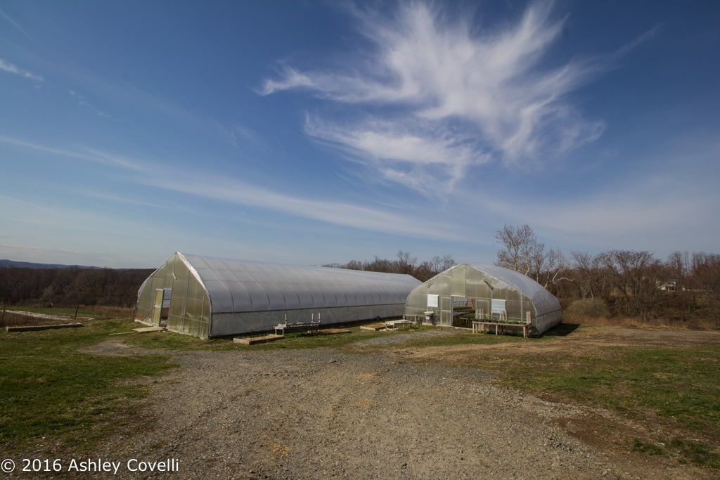 Big Flavors from the Farm Volume 1: Hilltop Hanover Farm & Environmental Center