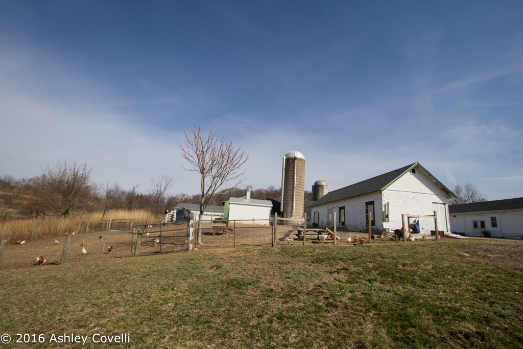 Big Flavors from the Farm Volume 1: Hilltop Hanover Farm & Environmental Center