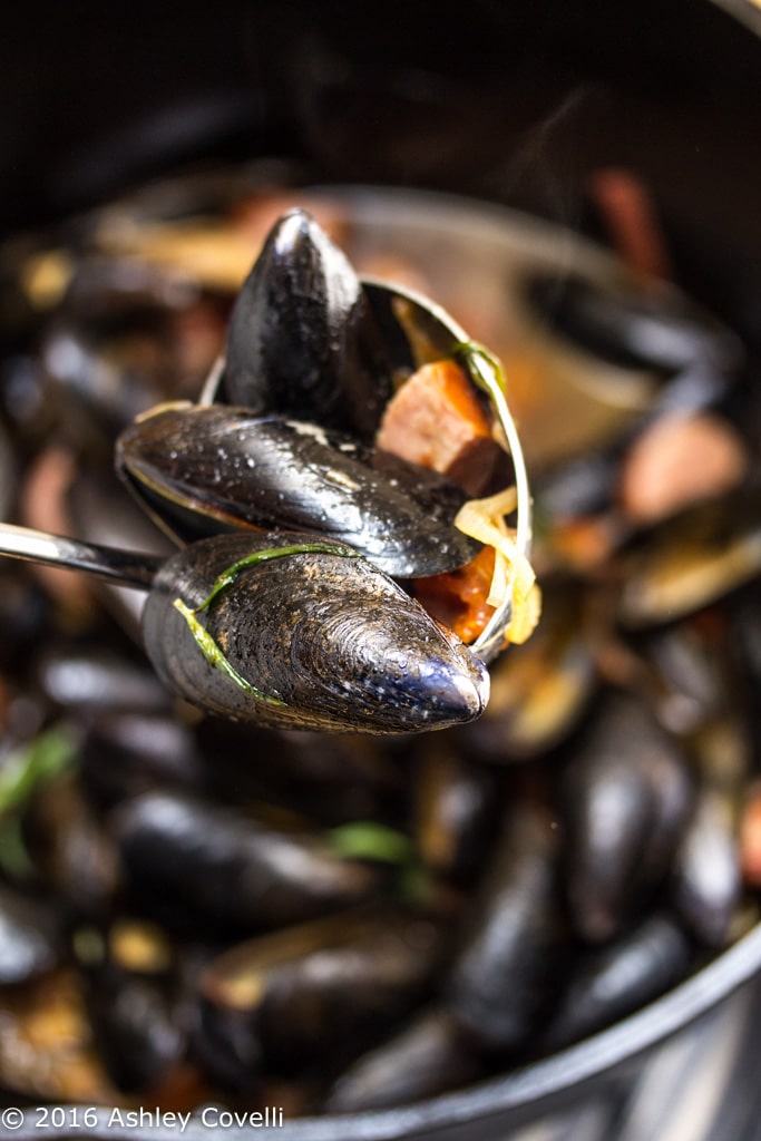 Garlicky Beer + Tarragon Steamed Mussels