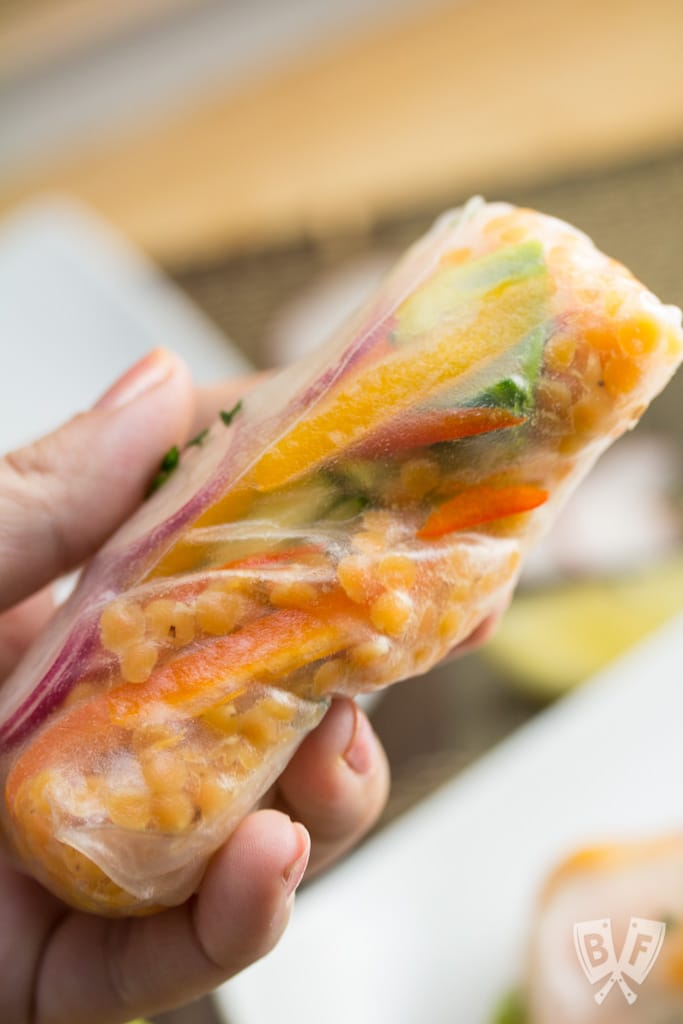 Shrimp + Red Lentil Summer Rolls with Hoisin-Bean Sauce: This installment of Big Flavors from a Mystery Basket features a vibrant, Asian-inspired dish that was a big hit at the dinner table!