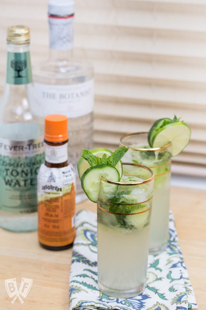 Gin cocktails with cucumber and mint garnishes.