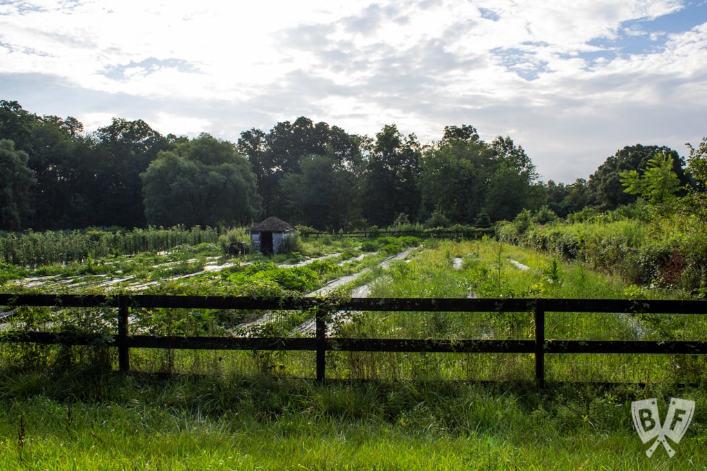 This installment of #BigFlavorsFromTheFarm features a visit to Fable: From Farm to Table in Ossining, New York and a chat with owner Tom Deacon.