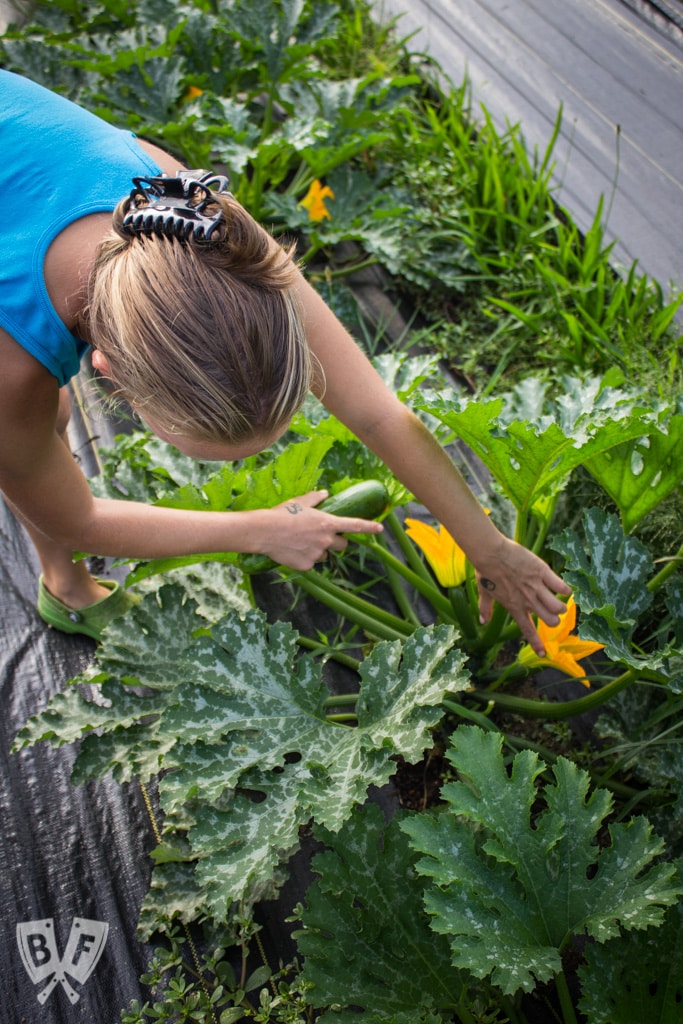 This installment of #BigFlavorsFromTheFarm features a visit to Fable: From Farm to Table in Ossining, New York and a chat with owner Tom Deacon.