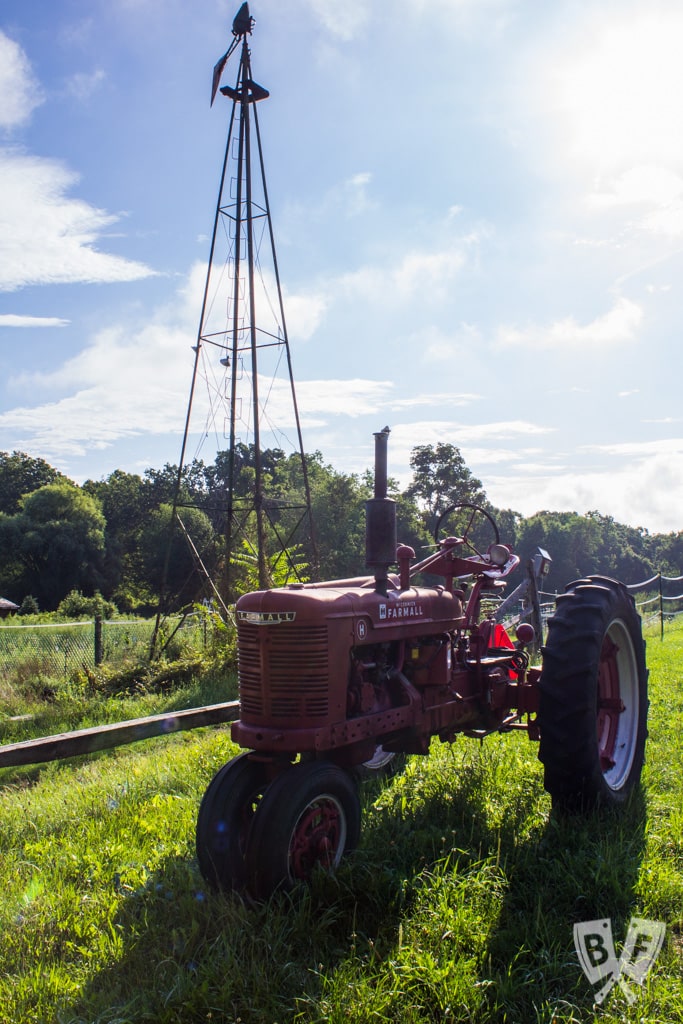 This installment of #BigFlavorsFromTheFarm features a visit to Fable: From Farm to Table in Ossining, New York and a chat with owner Tom Deacon.