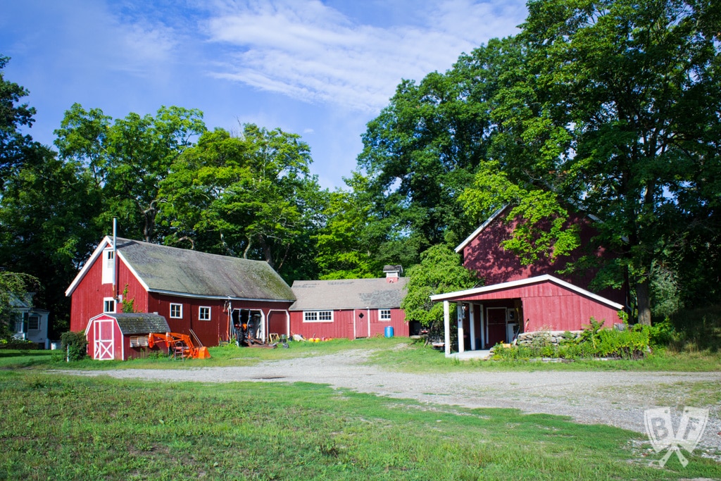 Fable From Farm To Table Big Flavors From A Tiny Kitchen