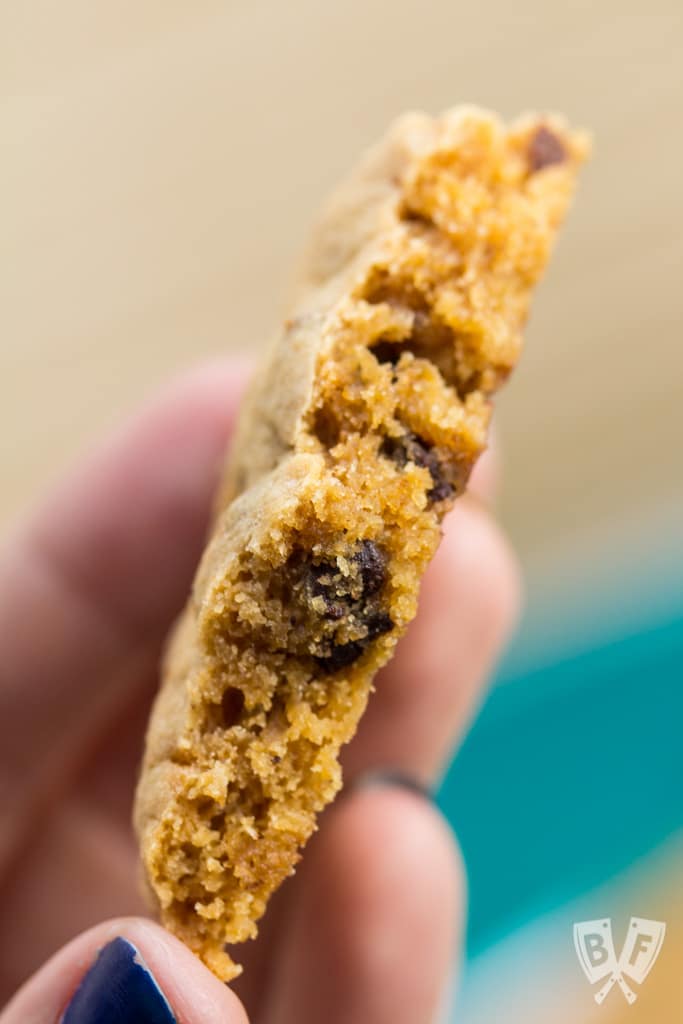 Close up of a chocolate chip cookie with bites taken out.