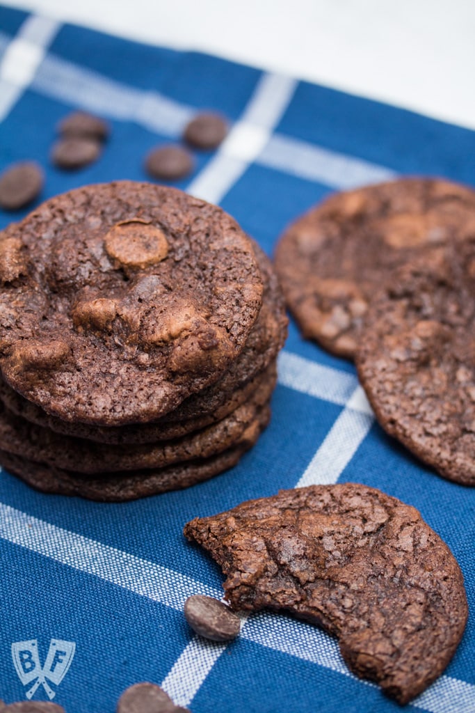 Chocolate cookies and chocolate chips on a blue and white backdrop.