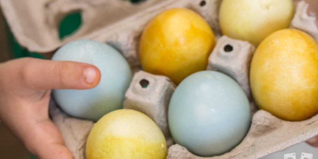 A boy holding a carton of naturally dyed Easter eggs.