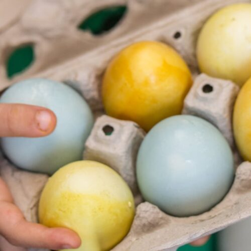A boy holding a carton of naturally dyed Easter eggs.