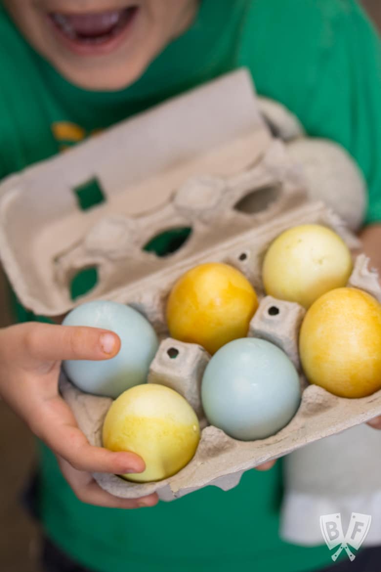 A boy holding a carton of naturally dyed Easter eggs.