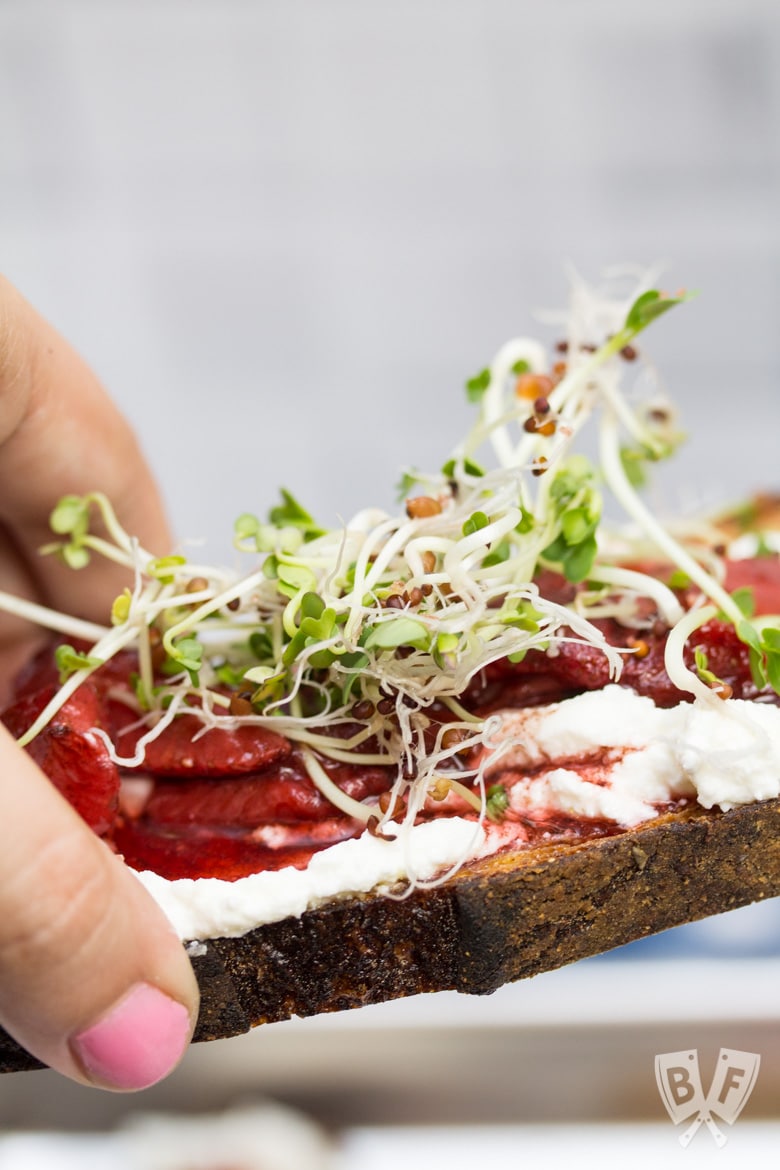 Side view of 3 pieces of toast topped with 3 types of sprouts, balsamic-roasted strawberries and ricotta.