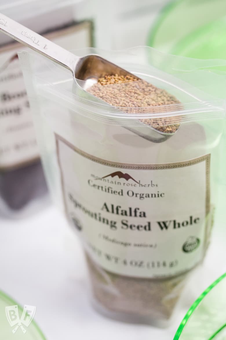 A tablespoon of alfalfa sprouting seeds being measured from a bag.